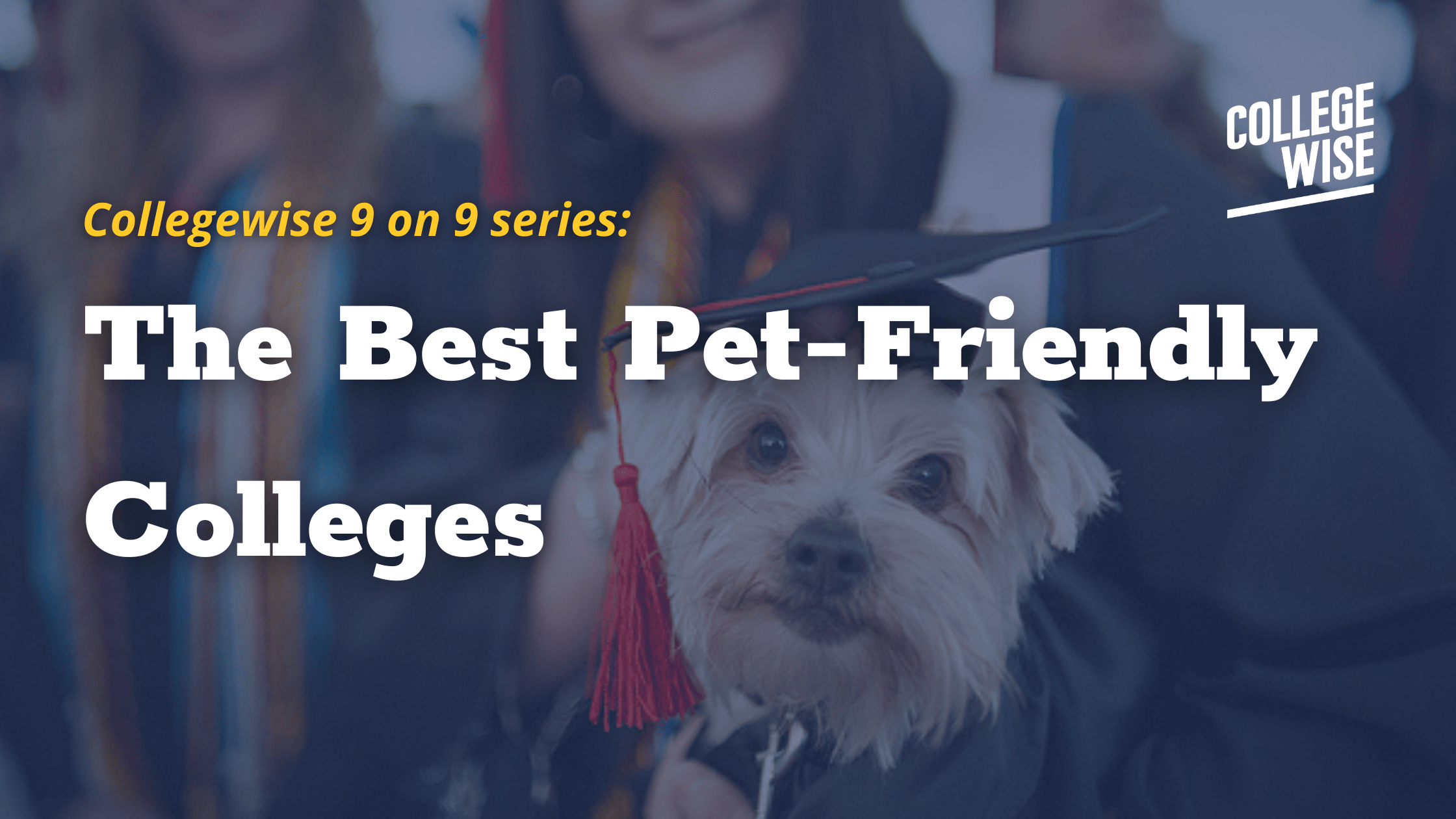 3 Best Colleges for Ice Cream Lovers